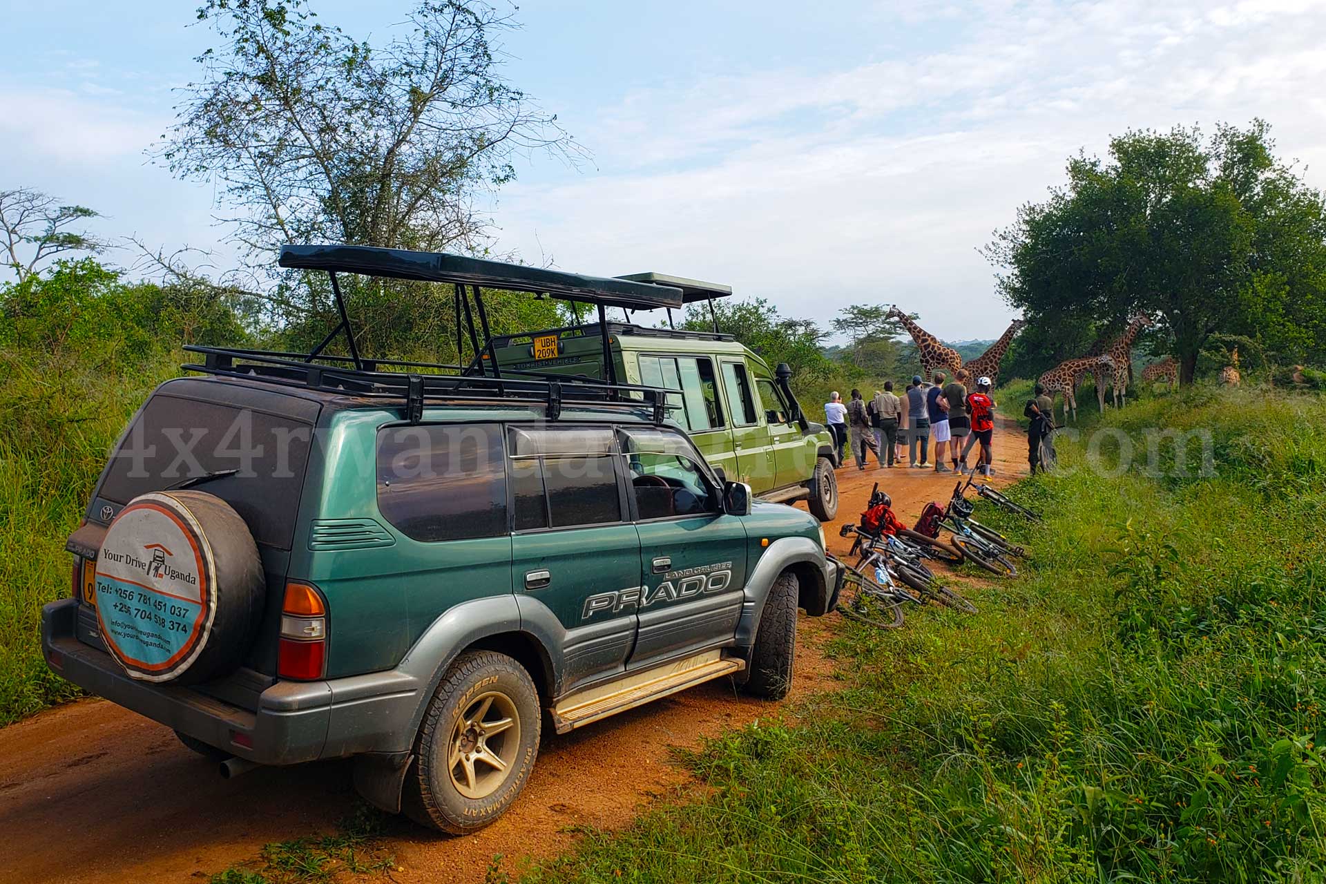 car-rental-for-wildlife-safaris-in-rwanda